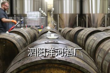 泗阳洋河酒厂