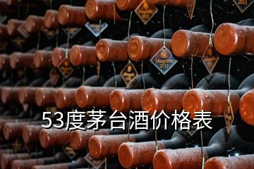 53度茅台酒价格表