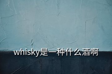 whisky是一种什么酒啊