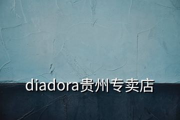 diadora贵州专卖店