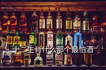 十二生肖什么那个最怕酒