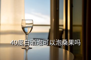 40度白酒泡可以泡桑果吗