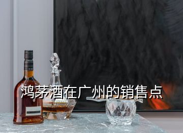 鸿茅酒在广州的销售点