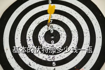基本的伏特加多少钱一瓶