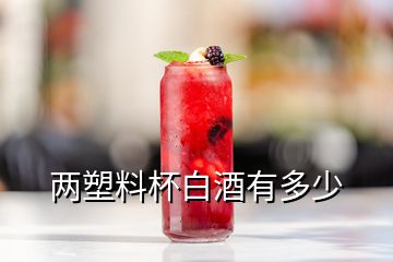 两塑料杯白酒有多少