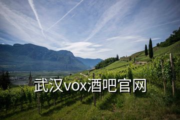 武汉vox酒吧官网