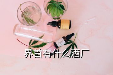 界首有什么酒厂