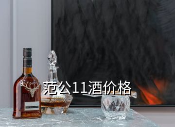 范公11酒价格