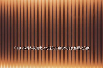 广州LY软件科技研发公司提供专案软件开发和解决方案