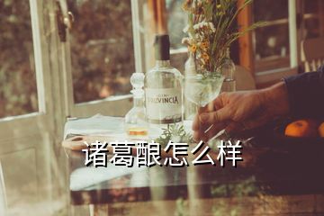 诸葛酿怎么样