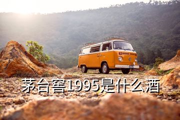 茅台窖1995是什么酒