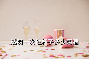 透明一次性杯子多少两酒