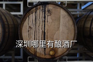 深圳哪里有酿酒厂