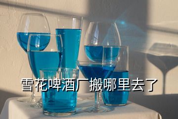 雪花啤酒厂搬哪里去了