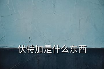 伏特加是什么东西