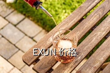 EXUN 价格