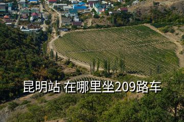 昆明站 在哪里坐209路车