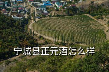 宁城县正元酒怎么样