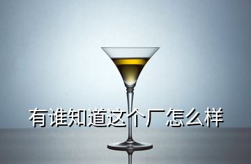 有谁知道这个厂怎么样