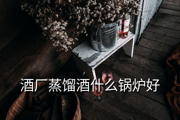 酒厂蒸馏酒什么锅炉好