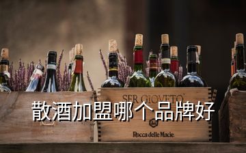 散酒加盟哪个品牌好