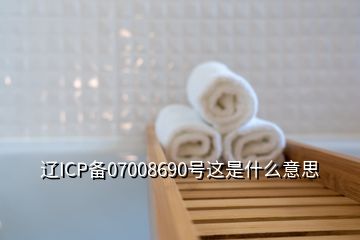 辽ICP备07008690号这是什么意思