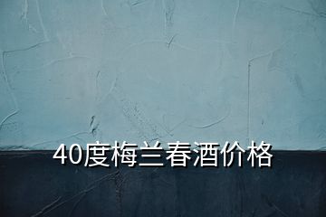 40度梅兰春酒价格