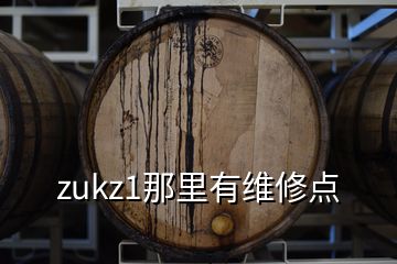 zukz1那里有维修点