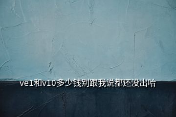 ve1和v10多少钱别跟我说都还没出哈