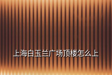 上海白玉兰广场顶楼怎么上