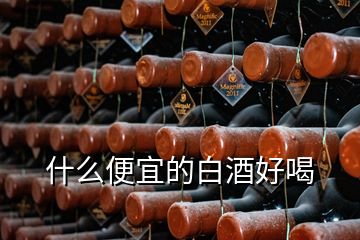 什么便宜的白酒好喝