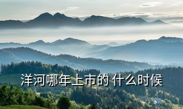洋河哪年上市的 什么时候