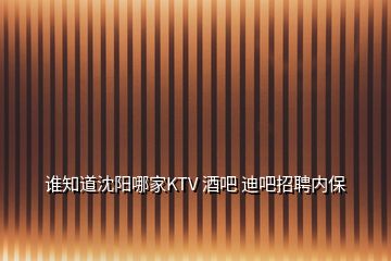 谁知道沈阳哪家KTV 酒吧 迪吧招聘内保