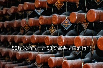 50斤米酒放一斤53度酱香型白酒行吗