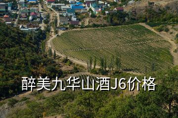 醉美九华山酒J6价格