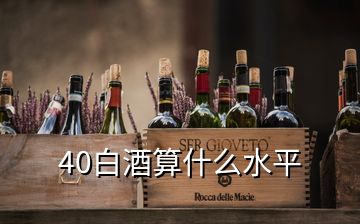 40白酒算什么水平