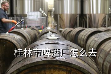 桂林市啤酒厂怎么去