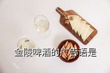 金陵啤酒的广告语是