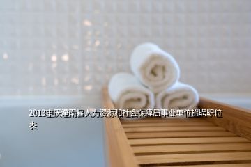 2013重庆潼南县人力资源和社会保障局事业单位招聘职位表