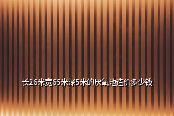 长26米宽65米深5米的厌氧池造价多少钱