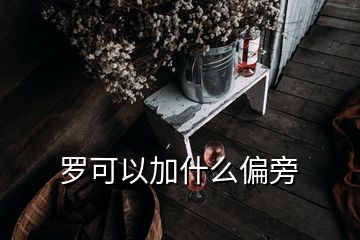 罗可以加什么偏旁