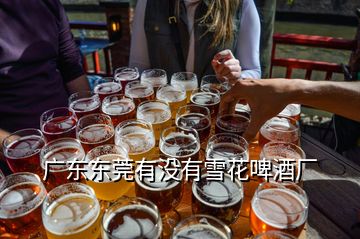 广东东莞有没有雪花啤酒厂