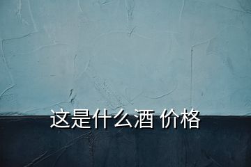 这是什么酒 价格