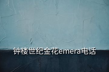 钟楼世纪金花emera电话