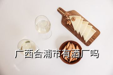 广西合浦市有酒厂吗