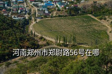 河南郑州市郑尉路56号在哪