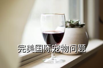 完美国际宠物问题