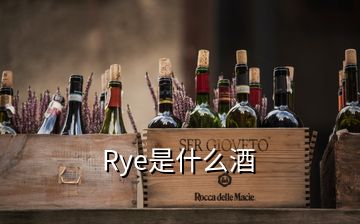 Rye是什么酒