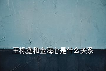 王栎鑫和金海心是什么关系