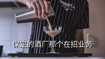 保定的酒厂那个在招业务